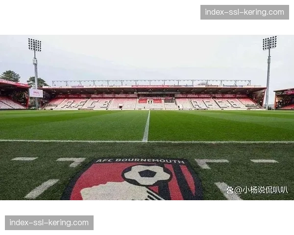 为提升可持续性,伯恩茅斯主场将屋顶太阳能电力用于大屏幕与部分照明 为提升可持续性,伯恩茅斯主场将屋顶太阳能电力用于大屏幕与部分照明