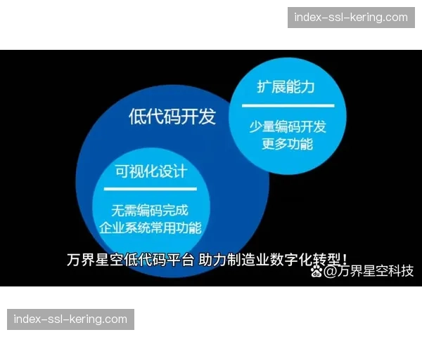 低代码开发平台适配业务场景 快速响应定制化需求 低代码开发平台适配业务场景 快速响应定制化需求