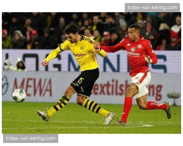 美因茨状态回升成保级关键，菲舍尔执教后球队表现显著提升